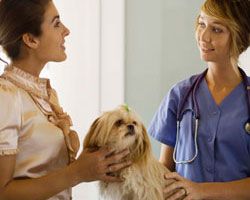 CLÍNICA VETERINARIA MEDITERRÁNEO mujer con canino consultando con veterinaria